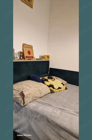 3 camere Pacurari - imagine 5