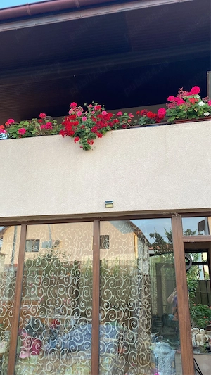 Casa cu etaj situata in Bragadiru  - imagine 5
