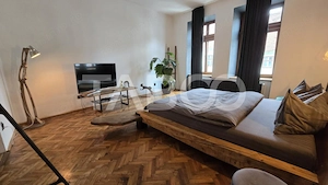 De vanzare - 2 studio-uri pentru regim hotelier in Orasul de Jos - imagine 8