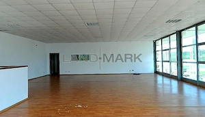 Hala industriala cu Show room de inchiriat , zona  Lugojului - imagine 8