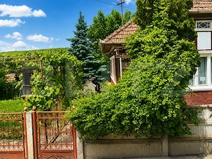 Casă individuală, 80 mp, teren de 950 mp, zona Zau de Câmpie - imagine 8