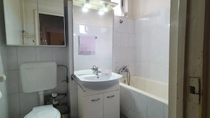 Inchiriere Apartament 2 camere, Dristor, Bd. Camil Ressu  - imagine 8