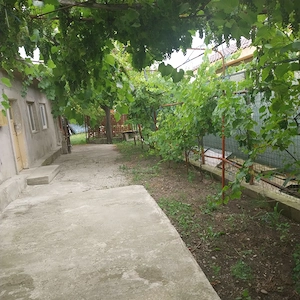 vlnd casa cu 3 camerr bucatarie ln satul spataru - imagine 5