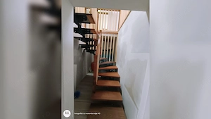 Fermă premium, casa, grajd+anexe Grănicești, 12,98Ha Iacobești Suceava - imagine 11