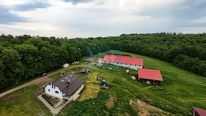 Fermă premium, casa, grajd+anexe Grănicești, 12,98Ha Iacobești Suceava - imagine 20