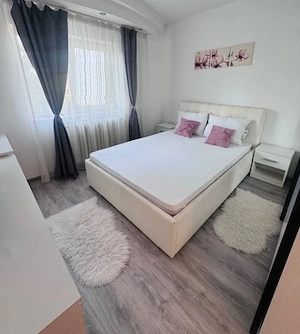 DRISTOR chirie apartament decomandat cu 2 camere - imagine 7