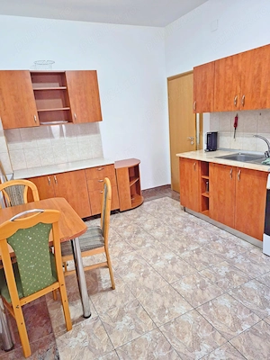 Gara de Nord - Gheorghe Barițiu, apartament cu o cameră, la casă - imagine 11