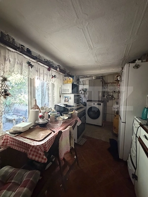 Casa P+M, 777 mp teren, Breasta - imagine 7