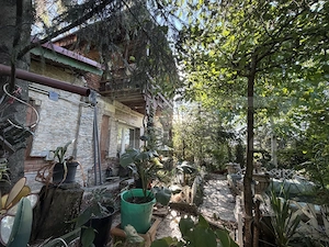 Casa P+M, 777 mp teren, Breasta - imagine 14