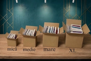 Mystery box accesorii telefoane