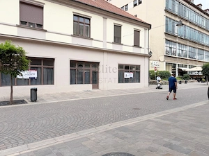 Spatiu Comercial Pietonala Vasile Alecsandri | 200 mp | Vitrina ampla - imagine 4