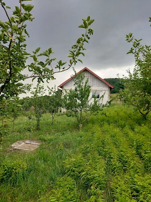 Casa cu teren în Aghires-Fabrici - imagine 2