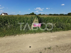 Teren intravilan 2000 mp si extravilan 1150 mp de vanzare in Vad - imagine 4