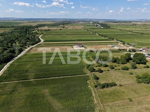 Teren intravilan 2000 mp si extravilan 1150 mp de vanzare in Vad - imagine 2