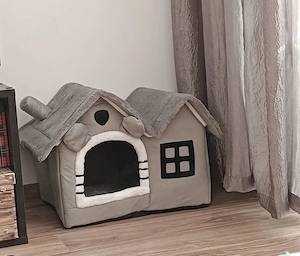 pui British Longhair  - imagine 5