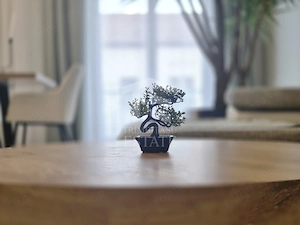 Apartament de lux | P-ta Maria | Et. 1 | Ideal pentru investitie - imagine 11