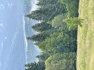 Teren intravilan de vanzare