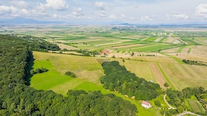 Comision 0| Proprietate cu 7 construcții intabulate și teren 16.873 mp - imagine 13