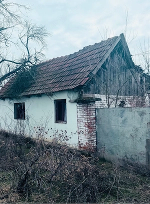 casa de vanzare la Rapsig langa Ineu judetul Arad - imagine 2