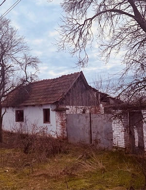casa de vanzare la Rapsig langa Ineu judetul Arad - imagine 3