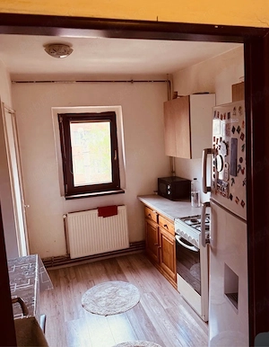 apartament la timisoara de inchiriat - imagine 3