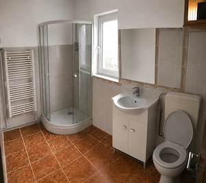 Vand casa cu gradina si vie in Runcu, GJ - imagine 8