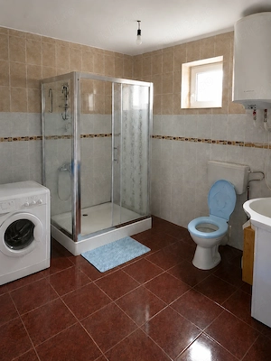 Vand casa cu gradina si vie in Runcu, GJ - imagine 7
