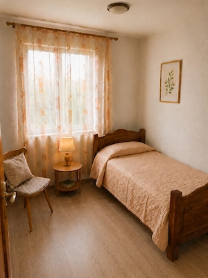 Vand casa cu gradina si vie in Runcu, GJ - imagine 9