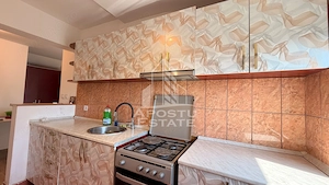 Apartament cu 2 camere de vanzare, zona Girocului, Timisoara - imagine 6