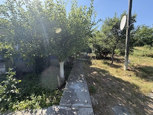 Casa cu gradina frumoasa la tara - imagine 3