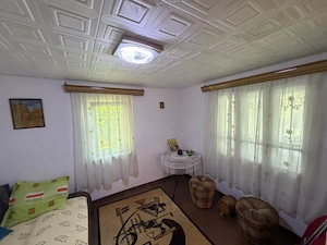 Casa cu gradina frumoasa la tara - imagine 7
