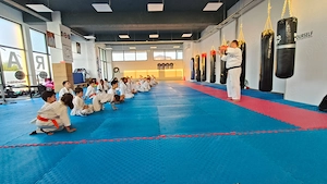 Închiriez sala sport pretabila gimnastica, fitness, acro dance - imagine 2