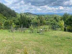 teren intravilan 40 ari la 25 km de Baia Mare intr-o zona superba  - imagine 2