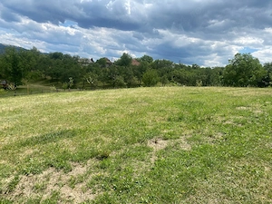 teren intravilan 40 ari la 25 km de Baia Mare intr-o zona superba  - imagine 3