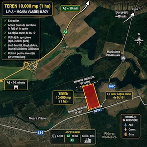 Teren 10.000 mp (1 ha) lângă DJ101   Moara Vlăsiei   Lipia   10 min A3   ideal investiție