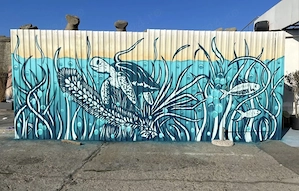 Pictură murală   graffiti profesional - interior și exterior