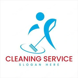 Servicii curățenie, gătit și menaj cu mașină personală    Neamț