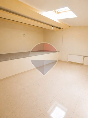 Casă / Vilă cu 12 camere de vânzare | Fundeni, Sector 2 - imagine 18