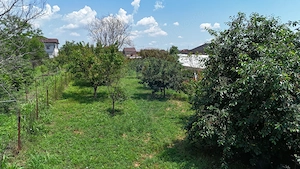 Casă batraneasca cu 3 camere-Oportunitate de Investiție in Domnesti - imagine 4