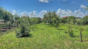 Casă batraneasca cu 3 camere-Oportunitate de Investiție in Domnesti - imagine 11