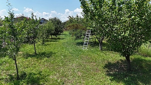 Casă batraneasca cu 3 camere-Oportunitate de Investiție in Domnesti - imagine 8