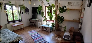 Apartament cochet,2 camere, ,cu gradina,la casa Ultracentral,Dealul Cetatii