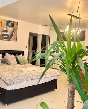 Apartament tip studio la cheie Ianga Fsega si Iulius Mall Gheorgheni - imagine 3