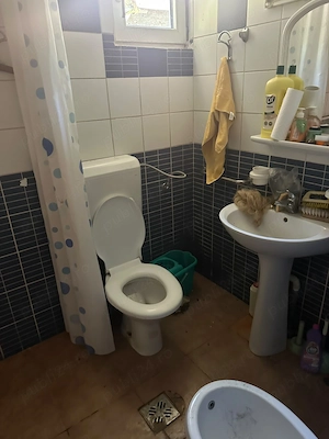SUUPER OFERTA!!!Casa si teren Valea Tarsei,ideal pentru investitii !! - imagine 9