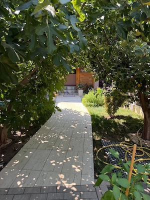 Casa individuala, 80 mp, zona Damila - imagine 10
