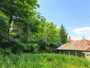 Casă bătrânească cu bucătărie de vară, 100 mp, teren 3.000 mp, zona Raducaneni - imagine 5