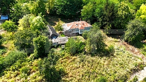 Casă bătrânească cu bucătărie de vară, 100 mp, teren 3.000 mp, zona Raducaneni - imagine 3