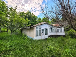 Casă bătrânească cu bucătărie de vară, 100 mp, teren 3.000 mp, zona Raducaneni - imagine 4
