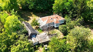Casă bătrânească cu bucătărie de vară, 100 mp, teren 3.000 mp, zona Raducaneni - imagine 2