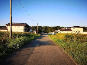 Vânzare teren 1008 mp Moara Vlăsiei, lânga pădure  - imagine 3